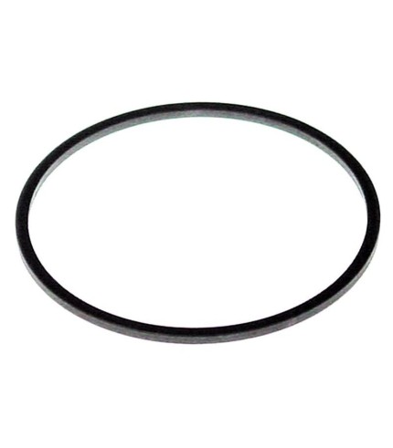 Sealing ring for wash arm  dishwasher Winterhalter
